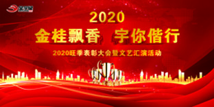 打开历史记录2024